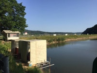 오산나그네 > 오산나그네의 군위 비들지 낚시터 조행기 : 낚시사랑