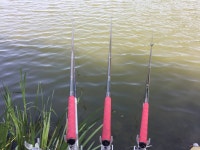 오산나그네 > 오산나그네의 군위 비들지 낚시터 조행기 : 낚시사랑