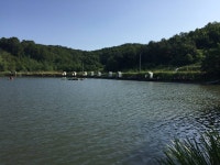 오산나그네 > 오산나그네의 군위 비들지 낚시터 조행기 : 낚시사랑