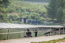 청명2 > 원주 대표 잡이터! 이무기낚시터 : 낚시사랑