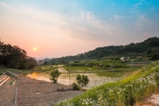 청명2 > 원주 대표 잡이터! 이무기낚시터 : 낚시사랑