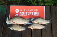 낚시테크닉 > 공주 자연농원 낚시터 후기 : 낚시사랑