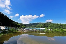 노아주 > 음성 토종상곡지 : 낚시사랑