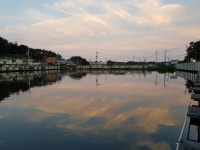 기사도일지매 > 화성관리낚시터 2017/08/30~31 : 낚시사랑