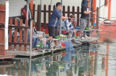 釣仙道人 > 까칠했던 입질의 주말 조황 : 낚시사랑