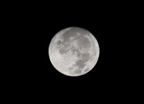 노아주 > 고삼지 양촌좌대 : 낚시사랑