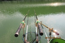 로치 > 양주 삼하낚시터..또 터졌습니다..믿어주세용 ~ ㅋ : 낚시사랑