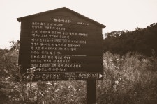 청명 > 파주 임진리 낚시터 : 낚시사랑