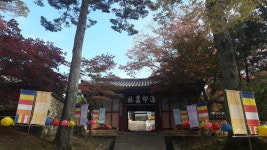 釣仙道人 > 만추의 이별 [수곡낚시터] : 낚시사랑