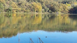 釣仙道人 > 만추의 이별 [수곡낚시터] : 낚시사랑