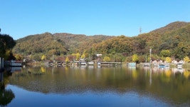釣仙道人 > 만추의 이별 [수곡낚시터] : 낚시사랑