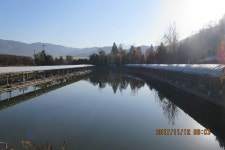 로치 > 양주 삼하낚시터..미워도 다시한번~ 꽝조사 복수전~!! : 낚시사랑