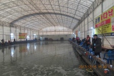 로치 > 화성 궁평 하우스바다낚시터..바다의왕자 랍스타가 풍년이네요~!! : 낚시사랑