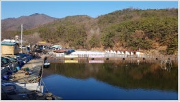 어신 > 얼음에 둘러 쌓인 동교낚시터에서의 물낚시 : 낚시사랑