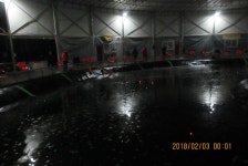 로치 > 파주 자유로레져 바다낚시터..진짜 대박~!! 지겨울틈이 없습니다 ^^* : 낚시사랑