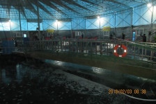 로치 > 파주 자유로레져 바다낚시터..진짜 대박~!! 지겨울틈이 없습니다 ^^* : 낚시사랑