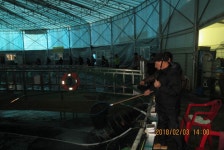 로치 > 파주 자유로레져 바다낚시터..진짜 대박~!! 지겨울틈이 없습니다 ^^* : 낚시사랑