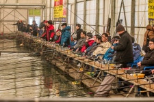 청명2 > 궁평바다하우스낚시터. : 낚시사랑