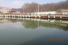 로치 > 화성 관리낚시터..3월 24일(토) 개장 합니다~!! : 낚시사랑