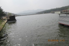 로치 > 안성..도곡낚시터..망할넘의날씨에..겨우 반100수 찍고 왔습니다~!! ^^* : 낚시사랑