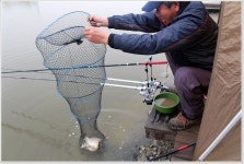 어신 > 인천 영종낚시터 짬낚시 : 낚시사랑