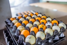 청명2 > 백경수 낚시터 : 낚시사랑