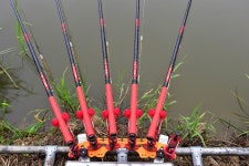 에이케이 > 평택 계양낚시터의 우중전 떼월척!!! : 낚시사랑