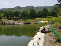 오산나그네 > 오산나그네의 여주관광농원낚시터 조행기 : 낚시사랑