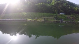 오산나그네 > 오산나그네 의 제천 선고지낚시터 조행기 : 낚시사랑