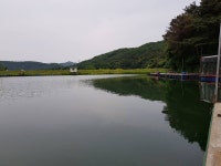 오산나그네 > 오산나그네의 광주 추곡낚시터 조행기2 : 낚시사랑