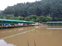 오산나그네 > 오산나그네의 양평대명낚시터 조행기 : 낚시사랑