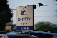 그~네 > 고잔낚시터에서 치루워진일~~~ : 낚시사랑