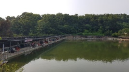 8당붕어 > 새말낚시터에서 4시간 폭풍입질 : 낚시사랑