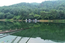 질꾼 > 무더위를 피해서 찾아간 깊이울....... : 낚시사랑