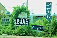 쩐프로(붕어놀이터) > 김포낚시터 : 낚시사랑