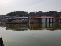 붕어비린내 > 독정낚시터~소문난 잔치^^ : 낚시사랑