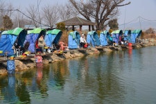 질꾼 > 김포 아리수낚시터 : 낚시사랑