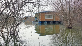 낙엽비 > 『송전저수지 미성집 좌대낚시』 : 낚시사랑
