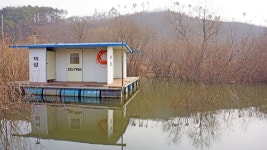 낙엽비 > 『송전저수지 미성집 좌대낚시』 : 낚시사랑