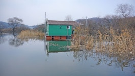 낙엽비 > 고삼저수지 돌배좌대 : 낚시사랑