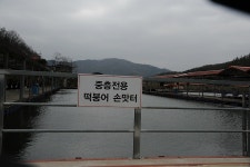 그~네 > 중리테마파크낚시터... : 낚시사랑