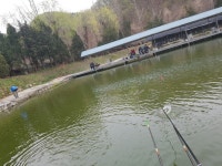 잘잡혀 > 삼하낚시터에서 반성낚시를 : 낚시사랑