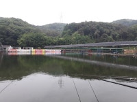 모링가 > 5월의 마지막주 지곡지에서 : 낚시사랑