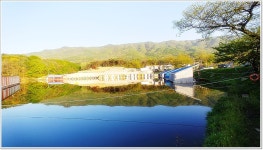 어신 > 엘보 조심하세요. 향붕어 대박 초원낚시터 : 낚시사랑