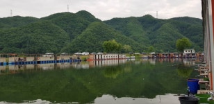 釣仙道人 > 비오기 전날의 조황[대석낚시터] : 낚시사랑