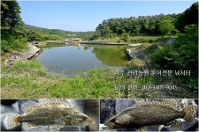 :::: 낚시사랑 - 낚시사랑,가족사랑,자연사랑 ::::
