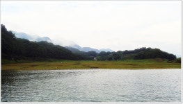 어신 > 오름 수위 특수를 위해 찾아간 충주호 제일낚시터 : 낚시사랑