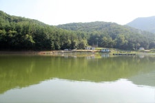 감/쟈 > 안성 덕봉낚시터 : 낚시사랑