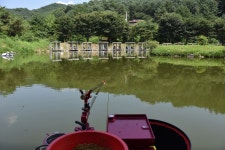 에이케이 > 무더운 여름 짜릿한 손맛!!! 가평 도장골낚시터 : 낚시사랑