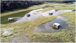 어신 > 송전지 관광좌대 : 낚시사랑